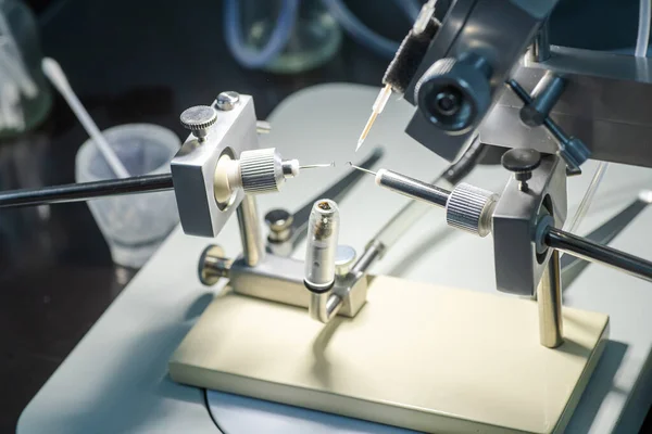 Imagem de inseminação artificial de abelhas